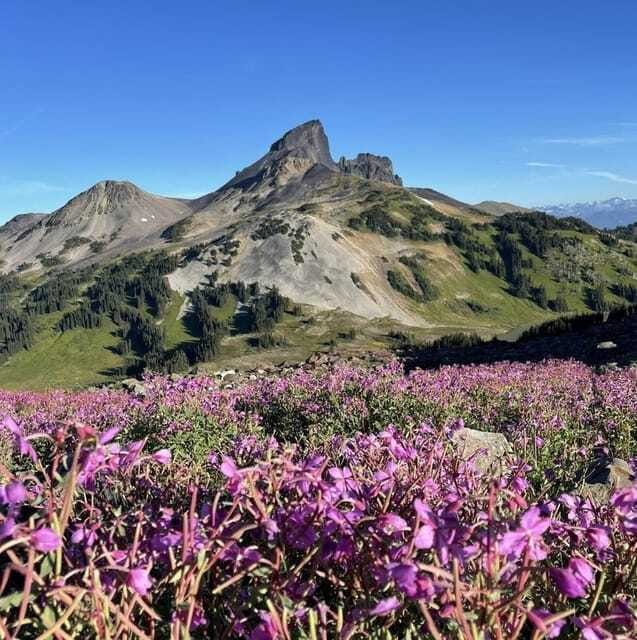 Garibaldi Park/ Panorama Ridge/ Hiking Day Trip - Who will get the most from this hike