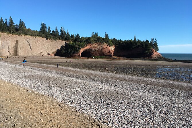 Go Fundy Tours - Guides who make the day personal