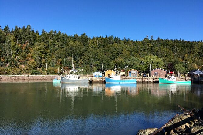 Go Fundy Tours - Snacks are thoughtful, lunch needs planning