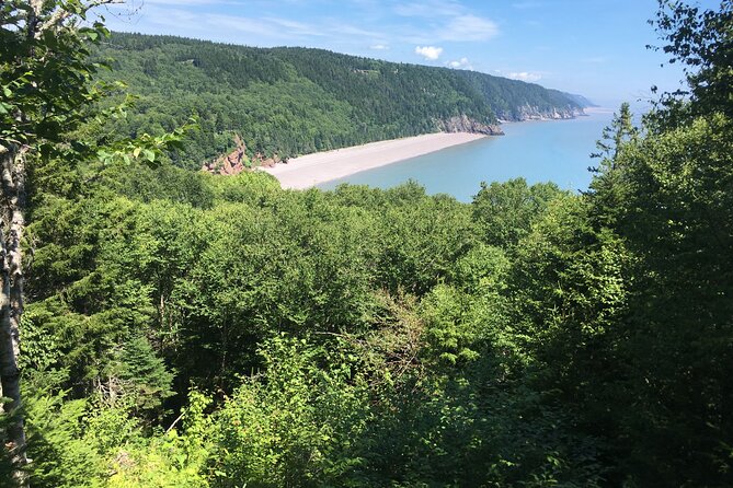 Go Fundy Tours - Cancellation and basic planning