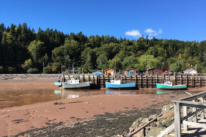 Go Fundy Tours - St. Martins Sea Caves and the Fundy shore