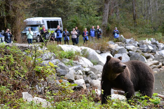 Great Bears of Bute: Grizzly Bear Viewing & Indigenous Cultural Tour - Orford Bay brings you into bear country