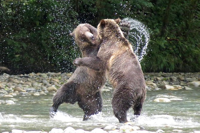 Grizzly Bear Expedition - Key points at a glance