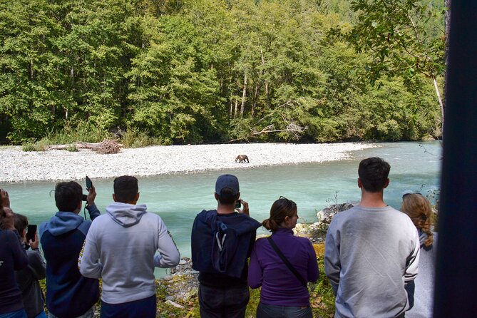 Grizzly Bear Expedition - From Campbell River into Desolation Sound