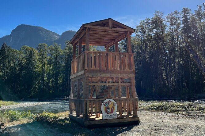 Grizzly Bear Expedition - Three hours beside the Orford River