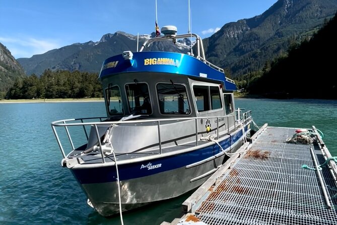 Grizzly Bear Expedition - Booking timing, weather, and cancellations
