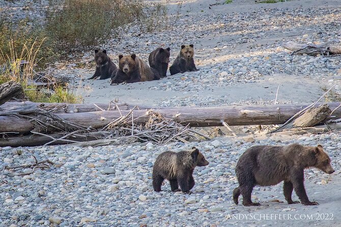 Grizzly Bear Expedition - Searching for whales on the way to Bute Inlet