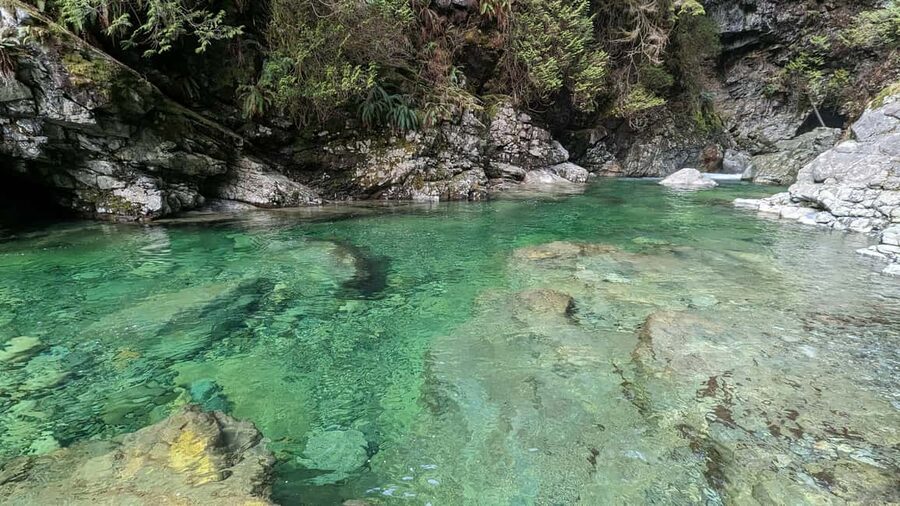 Grouse Mnt+StanleyPark+Hatchery+Cleveland Dam+LynnCanyonTOUR - Capilano River Hatchery and the salmon story