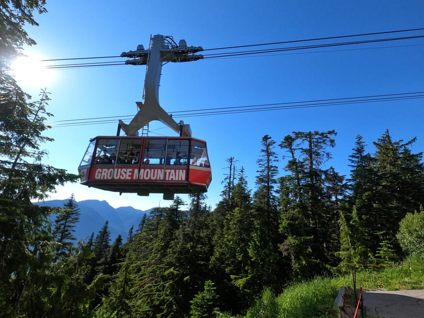 Grouse Mnt+StanleyPark+Hatchery+Cleveland Dam+LynnCanyonTOUR - Cleveland Dam and Capilano Lake