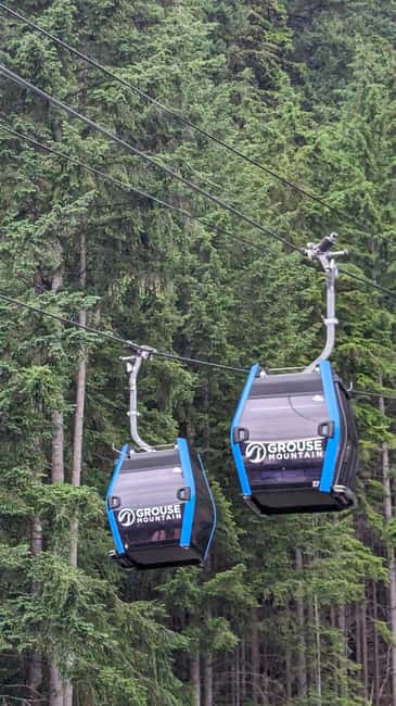 Grouse Mnt+StanleyPark+Hatchery+Cleveland Dam+LynnCanyonTOUR - Stanley Park, totem poles, and harbor views