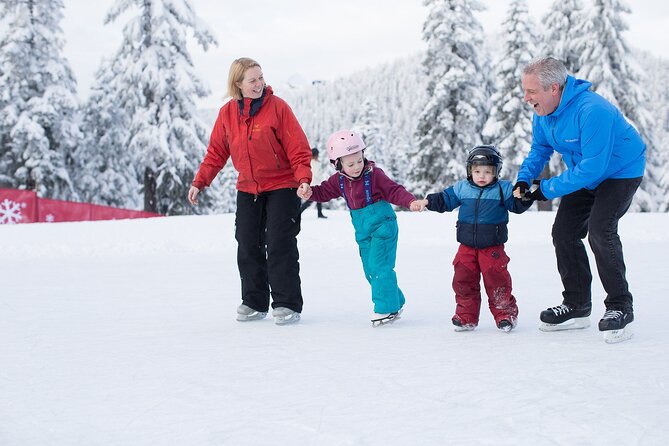 Grouse Mountain Admission Ticket - From downtown Vancouver to the Peak Chalet
