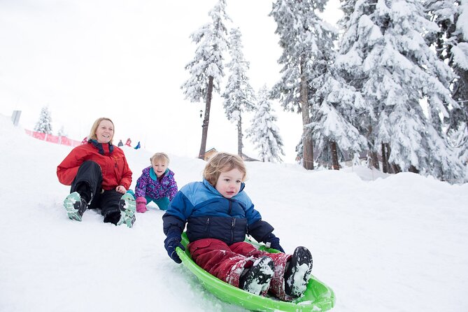 Grouse Mountain Admission Ticket - Winter at the mountain