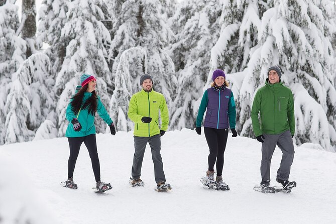 Grouse Mountain Admission Ticket - The weather question is not a small one