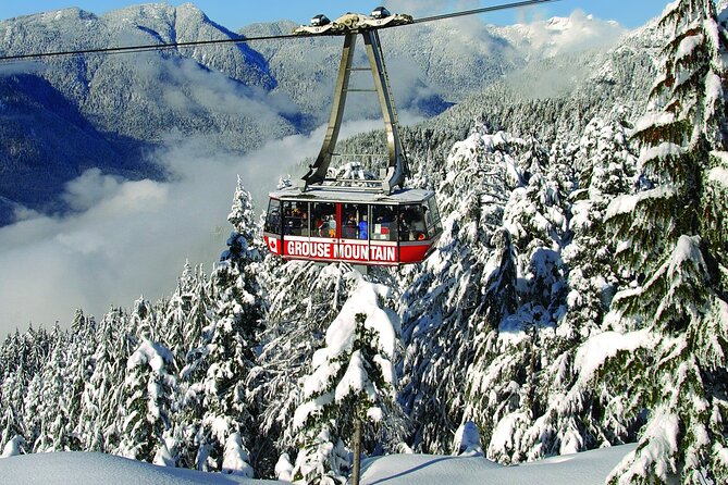 Grouse Mountain Admission Ticket - What the $66.24 ticket really covers