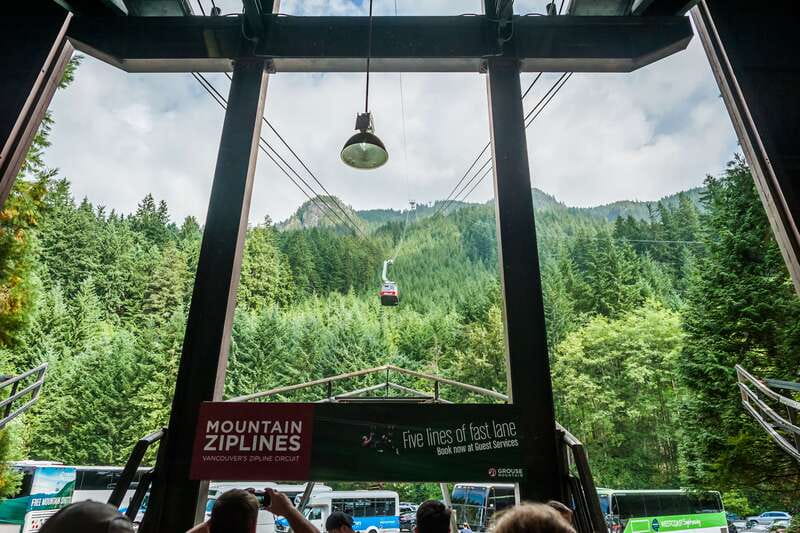 Grouse Mountain, Capilano Bridge & Fish Hatchery Tour - Key points at a glance