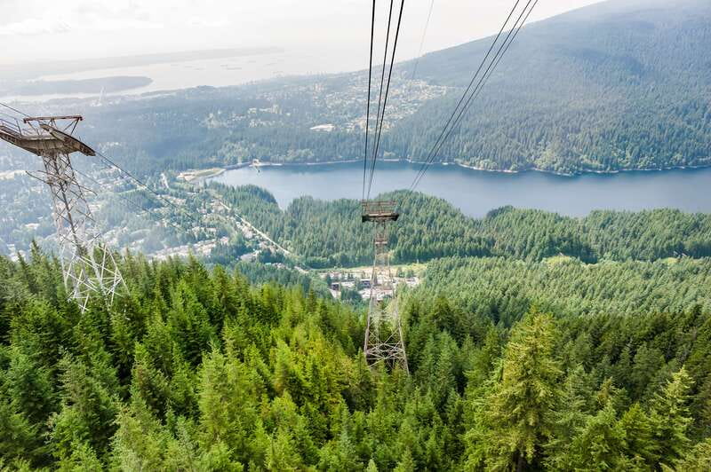 Grouse Mountain, Capilano Bridge & Fish Hatchery Tour - Capilano River Hatchery: short, useful, and easy to skip