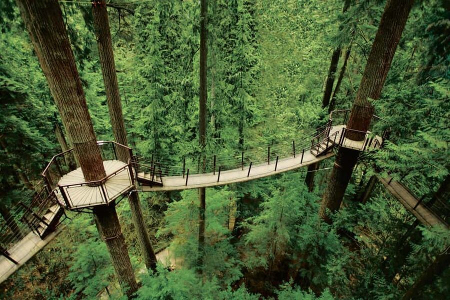 Grouse Mountain, Capilano Bridge & Fish Hatchery Tour - Who should book this North Shore tour?
