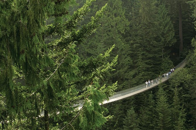 Grouse Mountain & Capilano Bridge Tour with Fish Hatchery - Why this three-stop Vancouver tour works