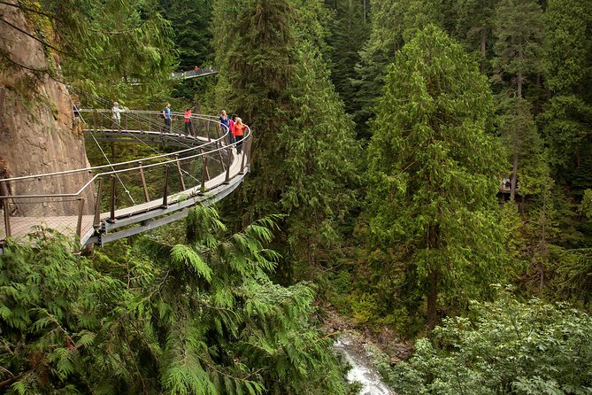 Grouse Mountain & Capilano Bridge Tour with Fish Hatchery - Capilano Suspension Bridge Park: the strongest stop for most people