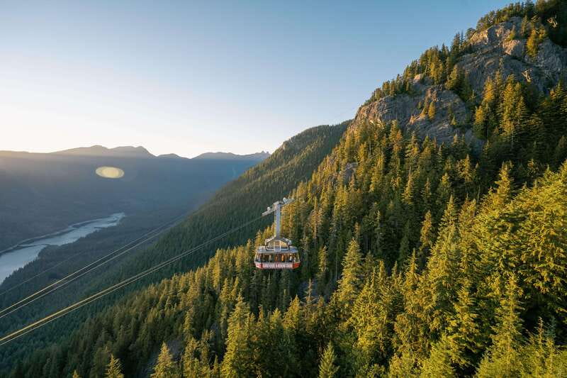 Grouse Mountain Skyride Admission Ticket - Summer’s best attractions: bears, birds, and lumberjacks