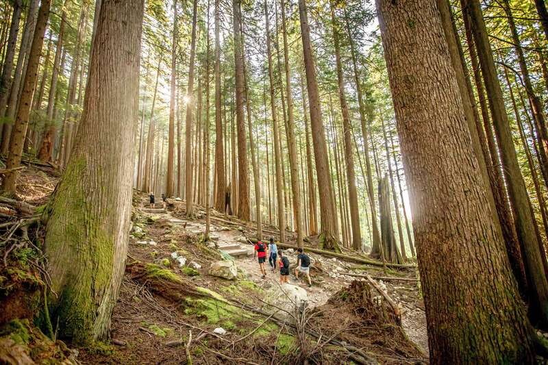 Grouse Mountain Skyride Admission Ticket - Spring and fall need extra planning