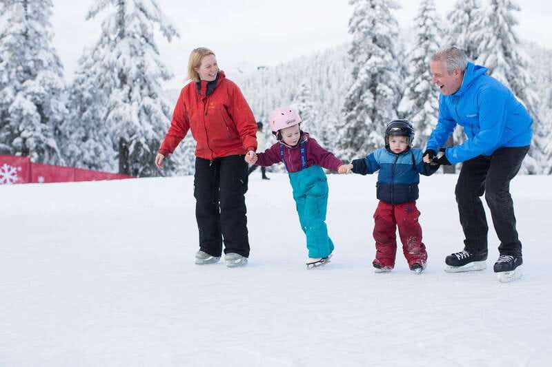 Grouse Mountain Skyride Admission Ticket - Is the $64 price good value?