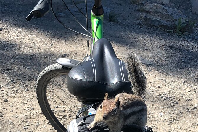 Guided Bike Tour on Historical Kettle Valley Railway at Myra Canyon & Wine Tour - Crossing 18 trestles and two tunnels