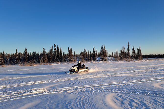 Guided Snowmobile Adventure - Photo stops and free riding time