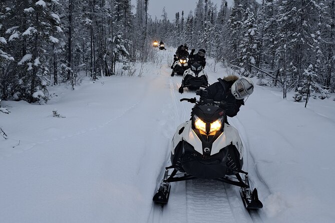 Guided Snowmobile Adventure - How much value do you get for $120.16?