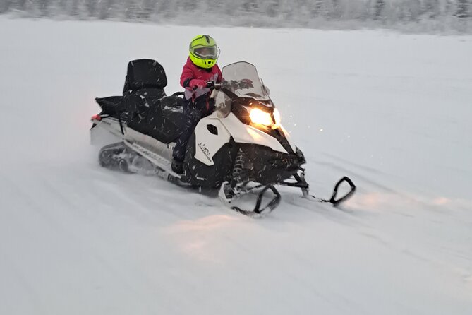 Guided Snowmobile Adventure - Who will enjoy this most?