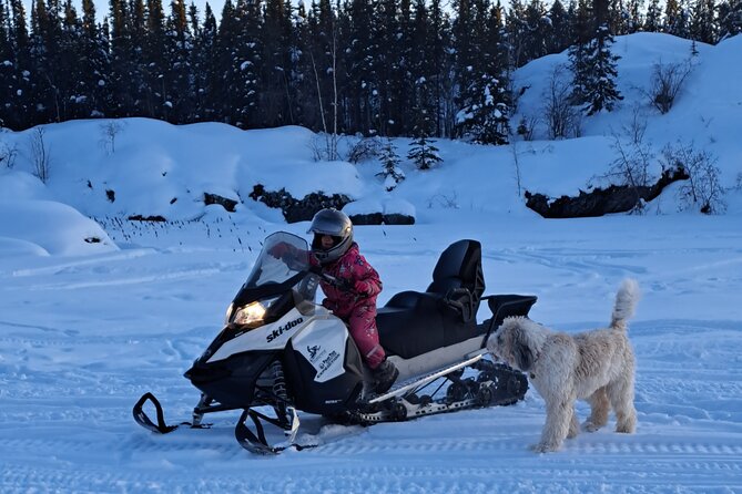Guided Snowmobile Adventure - Crossing frozen lakes and forest trails