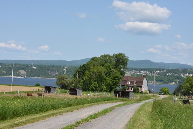 Half-Day Trip to Montmorency Falls and Ste-Anne-de-Beaupré from Quebec city - Who will enjoy this half-day outing?