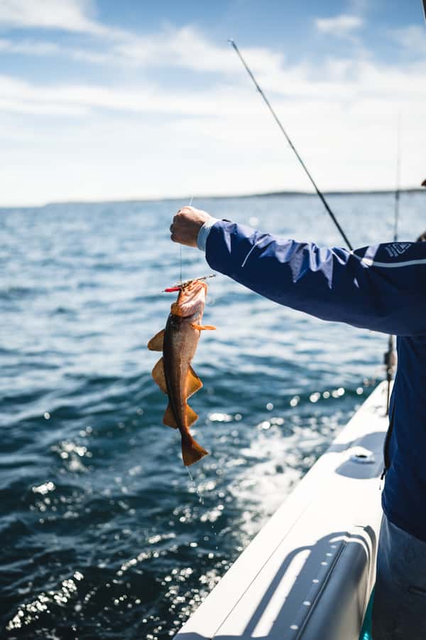 Halifax: 2-Hour Deep Sea Fishing Tour - Who should book this Halifax fishing tour?