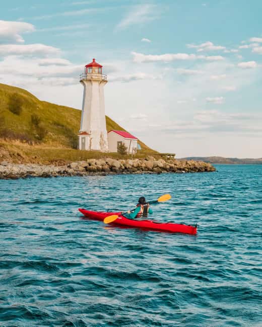 Halifax: Guided Kayak Tour with Multiple Options - Key points at a glance