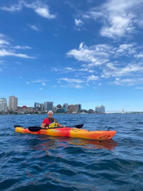 Halifax: Guided Kayak Tour with Multiple Options - Halifax Harbour from a kayak, not a tour bus