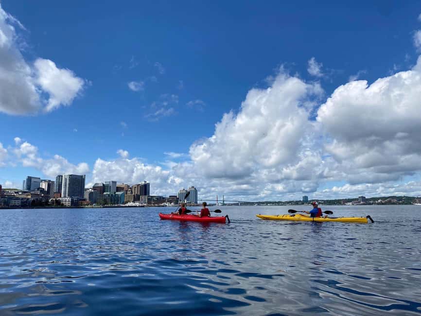 Halifax: Guided Kayak Tour with Multiple Options - What the route feels like on the water