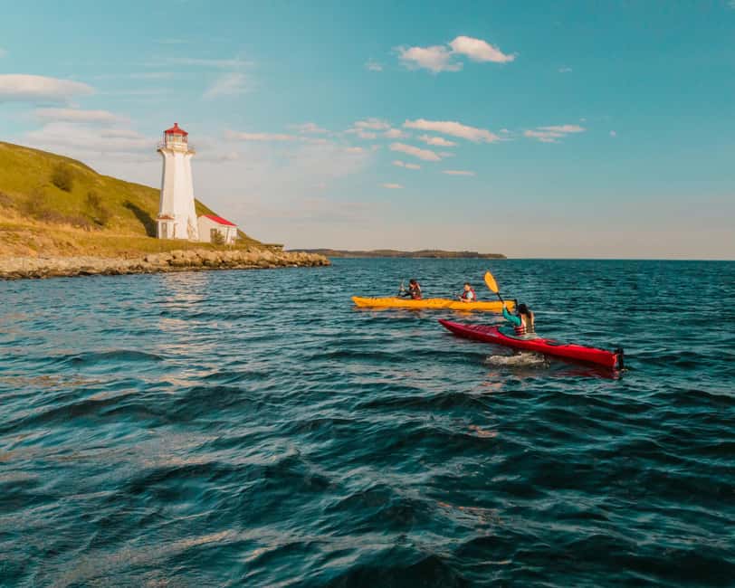 Halifax: Guided Kayak Tour with Multiple Options - Choosing between four tour times