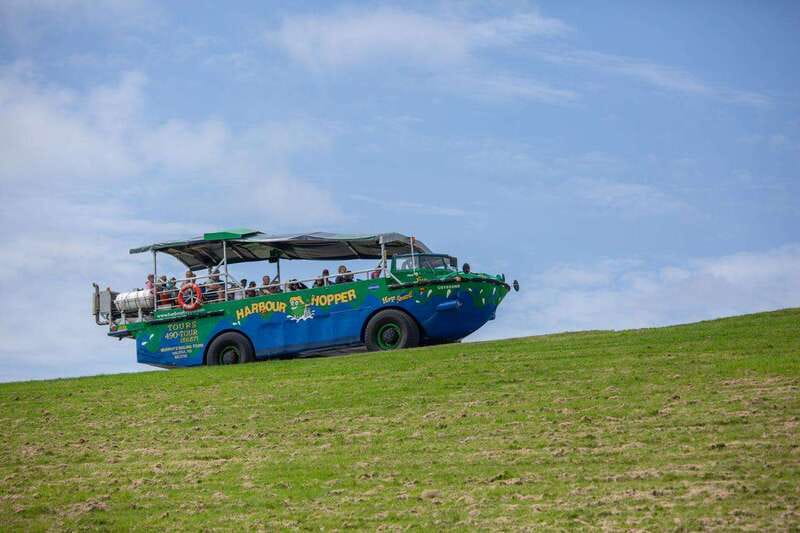 Halifax: Harbour Hopper City & Water Cruise in a Duck Boat - Who should book this tour?