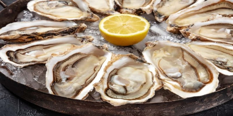 Halifax Harbourfront Food Walking Tour - Key points to know before booking