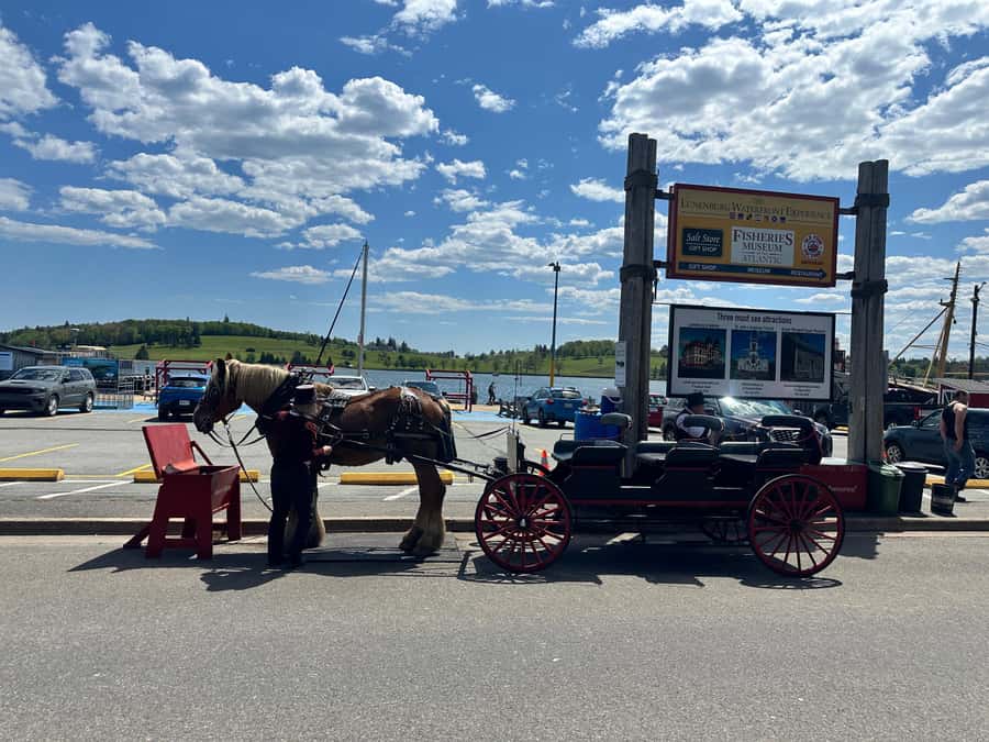 Halifax: Lunenburg and Mahone Bay Private Tour - Who will enjoy this tour most