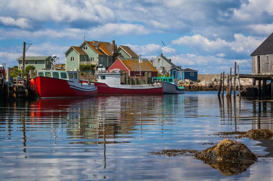 Halifax Small-Group Express Peggy’s Cove Tour - Extra local stops may add value
