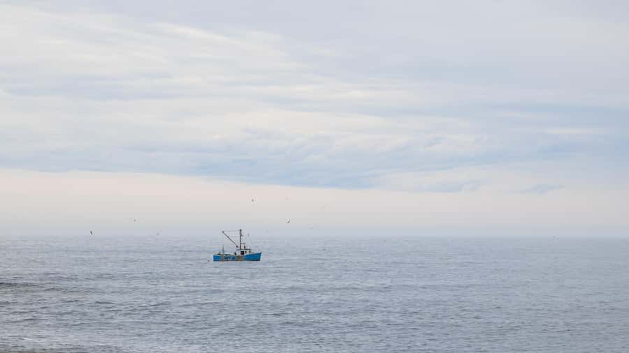 Halifax Small-Group Express Peggy’s Cove Tour - Sunset departures can be especially appealing