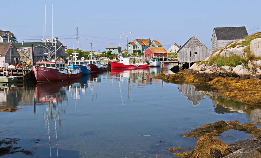 Halifax: South Coast Nova Scotia Private Day Tour - One day from Halifax, four very different coastal stops
