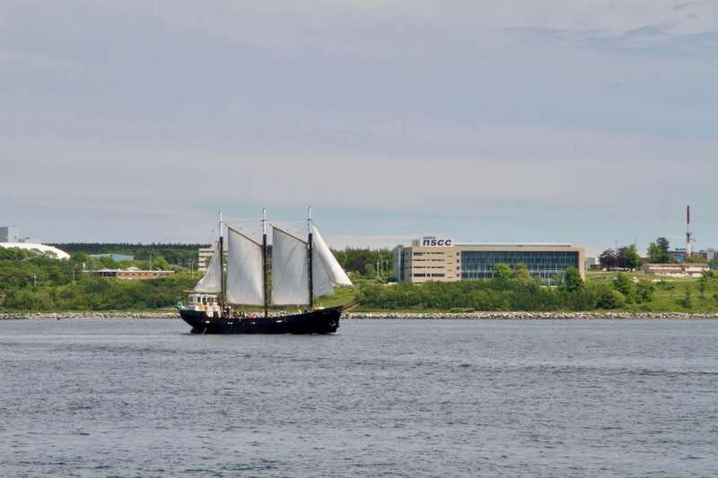 Halifax: Tall Ship Harbor Sailing Cruise with Live Music - Live music changes the mood