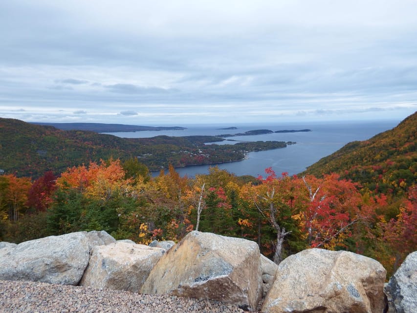 Highlands National Park: Cabot Trail Tour - Meeting your guide at Sydney’s cruise docks