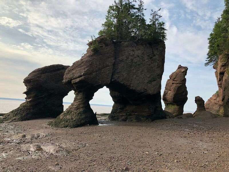 Hopewell Cape: Hopewell Rocks Admission - Key details to know before you go