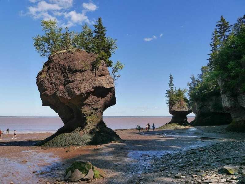 Hopewell Cape: Hopewell Rocks Admission - North Beach offers a gentler route