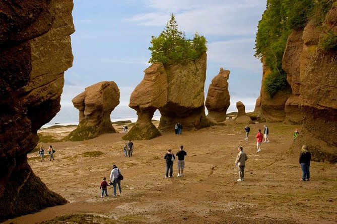 Hopewell Rocks Admission - Key things to know before you go