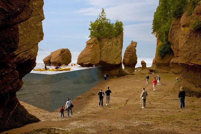 Hopewell Rocks Admission - Why Hopewell Rocks feels different at low tide