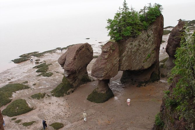 Hopewell Rocks Admission - Walking beneath the famous flowerpot rocks
